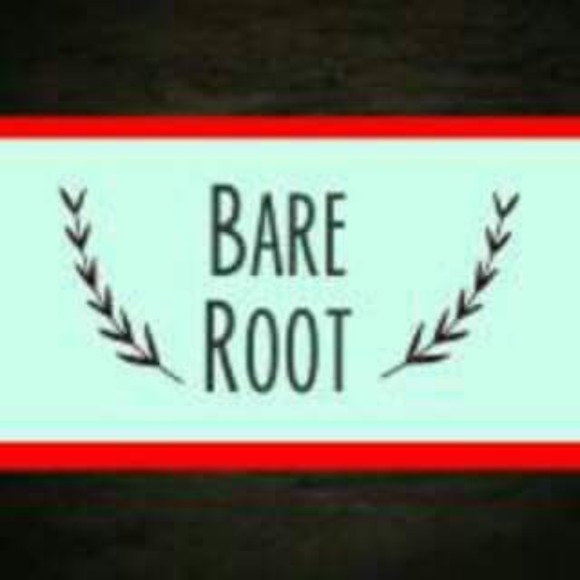 bareroot